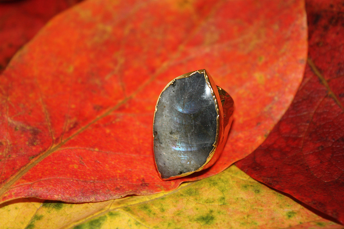 ANILLO ROCKY GRIS